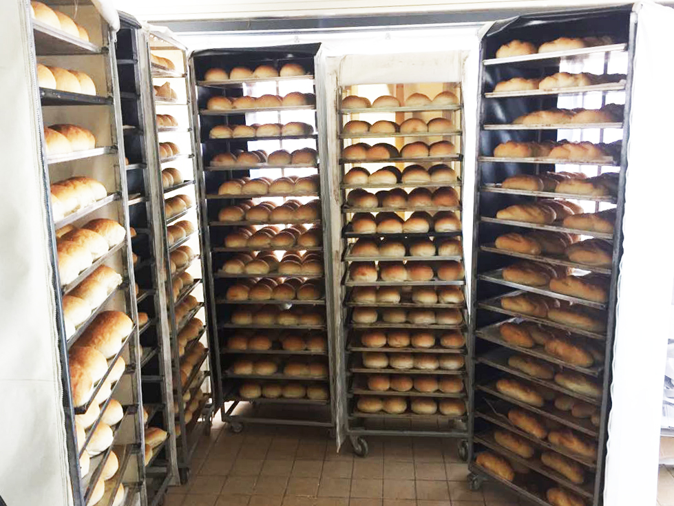 pane1
